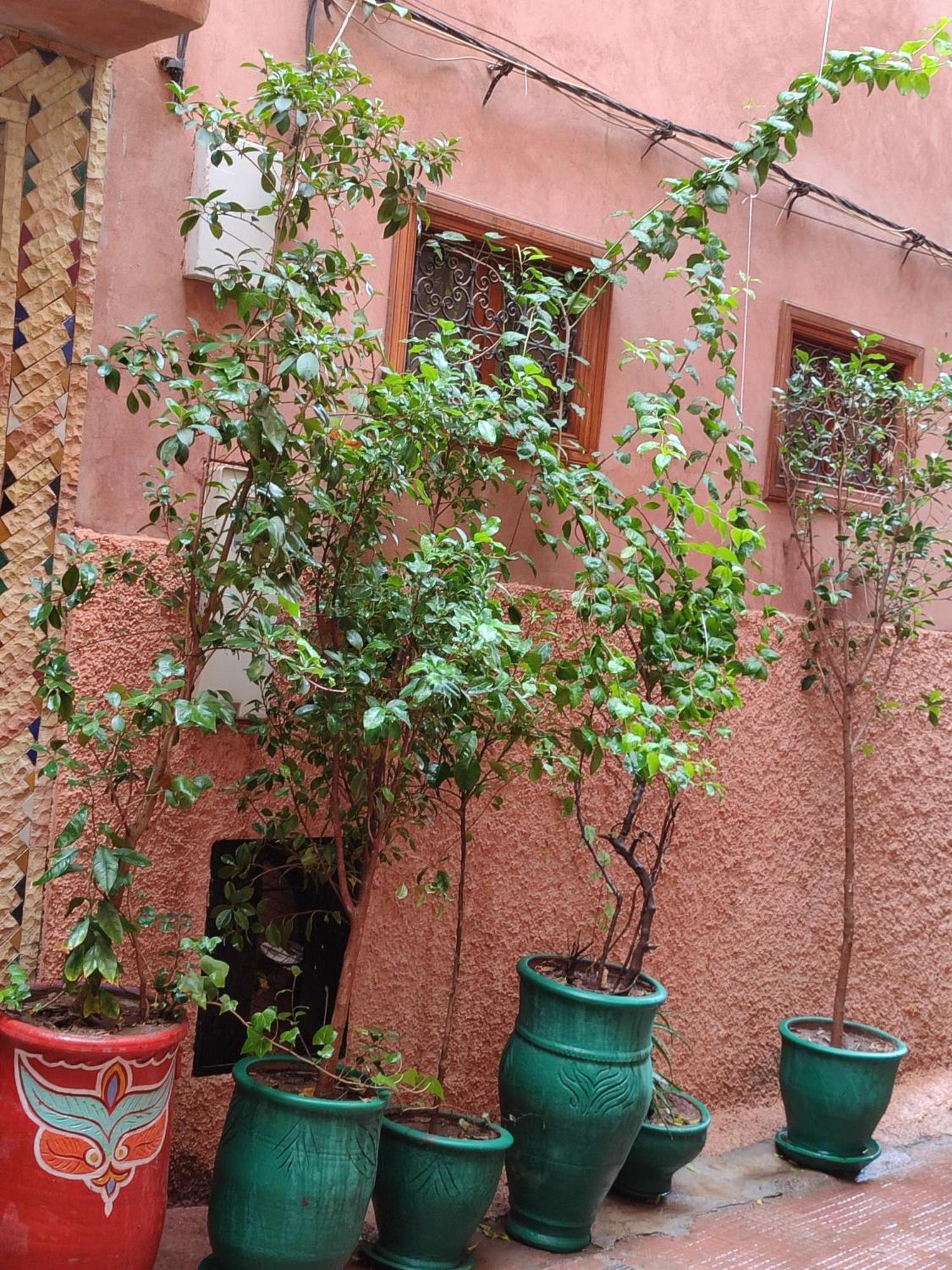 Riad Zahri Marrakesh Ngoại thất bức ảnh